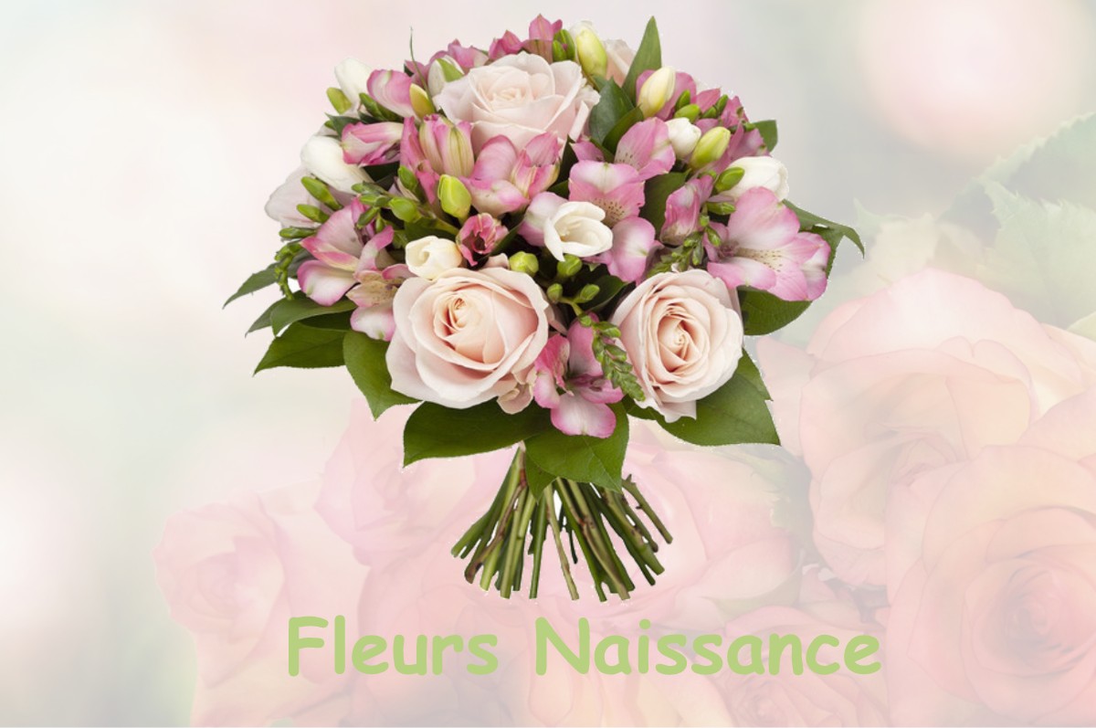 fleurs naissance SAINT-LAURENT-DE-CARNOLS